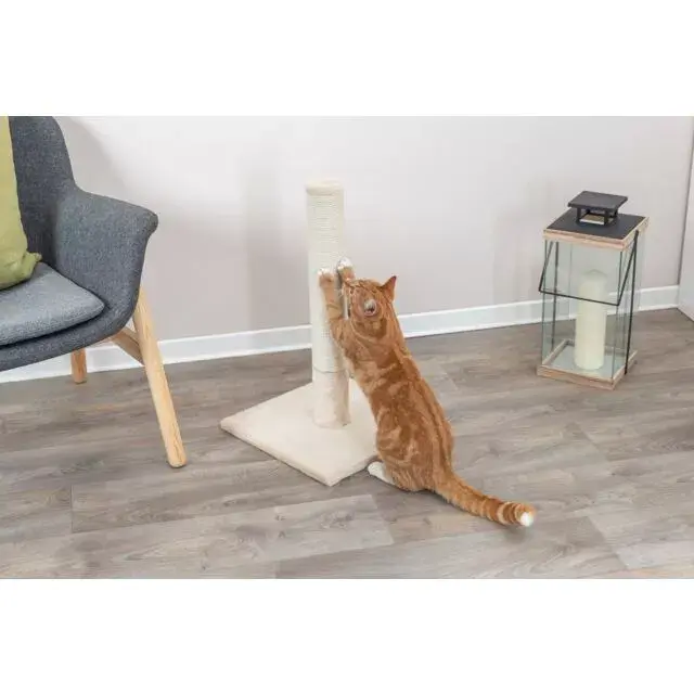 Trixie Batres cat scratching post 62 cm Photo 2