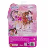 Modes lelle Barbie Dream Besties Brooklyn Photo 8