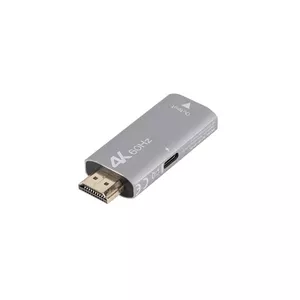 Адаптер видеокабеля Lanberg AD-HD-DP-01 HDMI Type A DisplayPort Silver