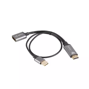 Video Cable Adapter Lanberg AD-HD-DP-02 0.2m HDMI Type A DisplayPort Silver