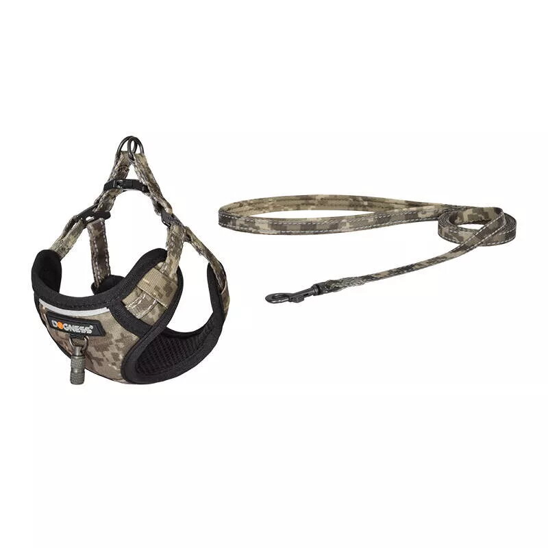 Pet Collars & Leashes