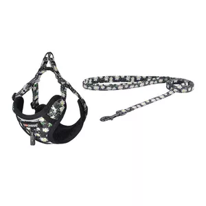 Dogness dog walking set Dog Set Daisy — 1.5 m leash and multicolor harness
