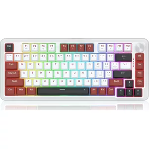 Механическая клавиатура REDRAGON Stormhunter K721WRB-RGB RGB подсветка беспроводная