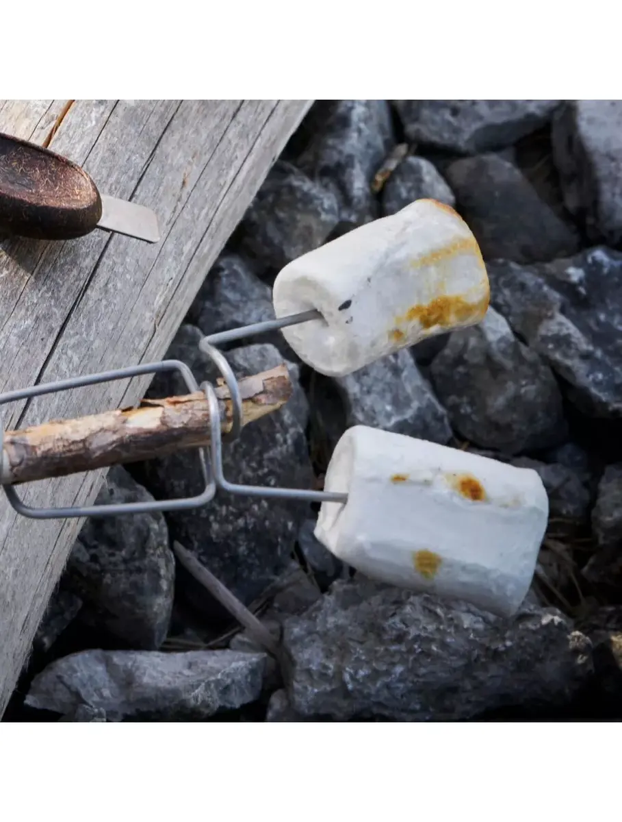 Light My Fire GrandPa’s FireFork BIO 2-pack Photo 3