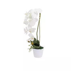 EMIVELA Artificial Orchid in a Pot