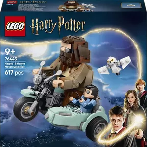 LEGO set Hagrid & Harry's Motorcycle Ride 76443 — 617 pieces, 9+ years, model 160×160×120 mm