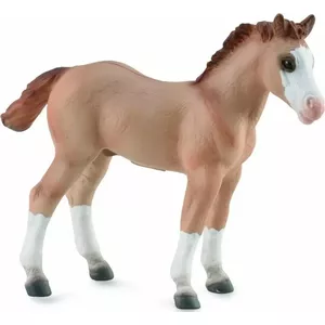 Collecta figurine foal Red Dun model 004-88814, realistic plastic collectible