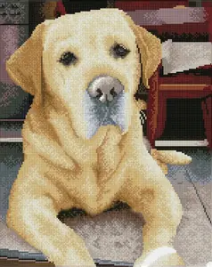 Diamond Dotz diamond painting kit Labrador King 48×58 cm DQ10027 by Diamond Dotz