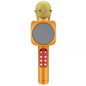 Riff WS-1816 16W karaoke BT mikrofons ar LED 360 Gold