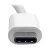 Tripp Lite U444-06N-HDV4K USB-C Мультипортовый адаптер Photo 3