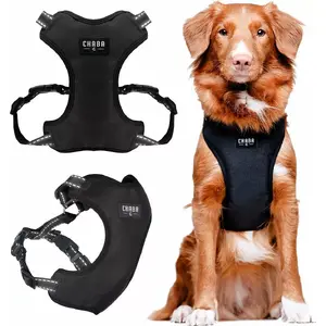 Dog Harness Straps Chaba Guard Comfort XL 2.5 cm width, 64–76 cm length, black