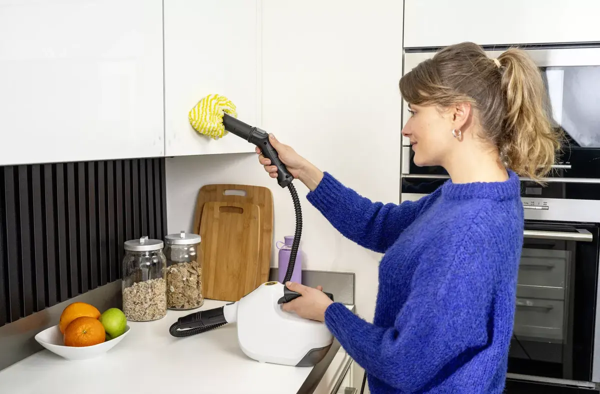 Portable steam cleaner Kärcher 1.516-416.0 Photo 4