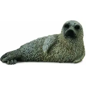 Collecta figurine young harbor seal model 004-88681, realistic animal toy collectible