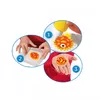 Bērnu radošais komplekts Simba Toys Aqua Gelz Deluxe Photo 5
