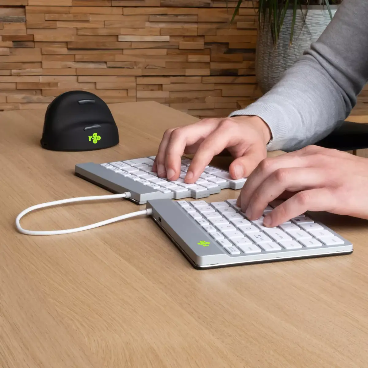 Ergonomiska tastatūra R-Go Tools R-Go Split Break Photo 5