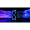 Портативная колонка MANTA SPK0601B100 100 Вт Photo 8