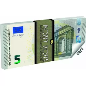 Panta Plast Notes 5 Euro notebook, 70 sheets, A4‑ruled, brand: panta plast