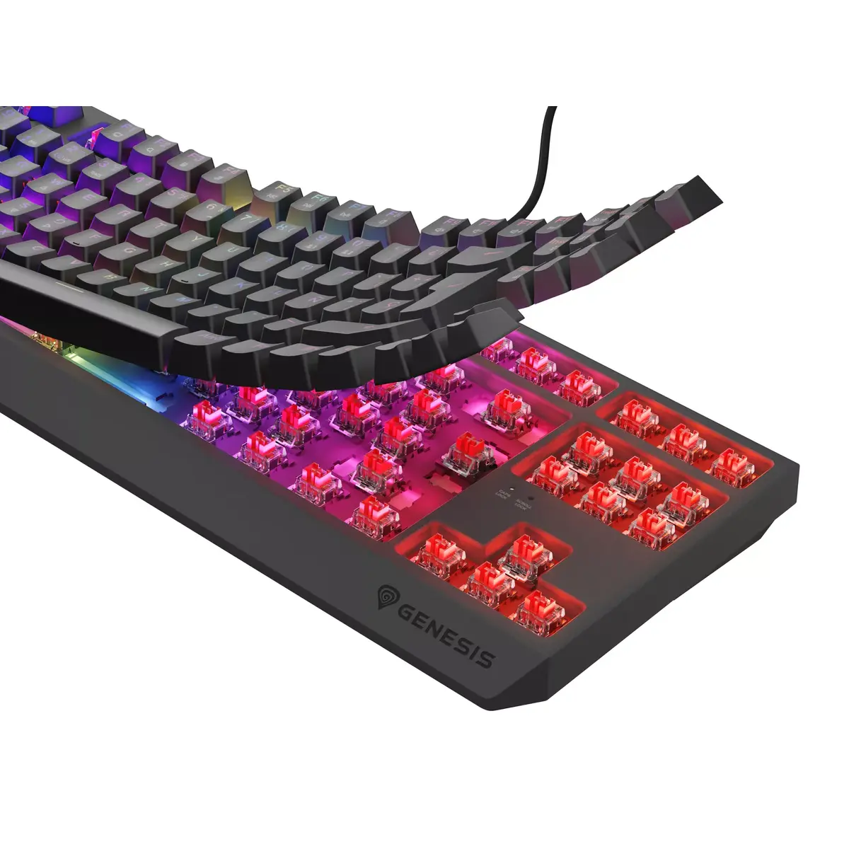 GENESIS Thor 230 TKL tastatūra Photo 5