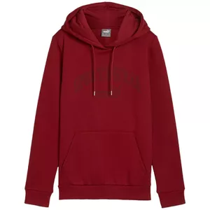 PUMA Ess+ Logo LAB Bordo Džemperis ar kapuci Izmērs L