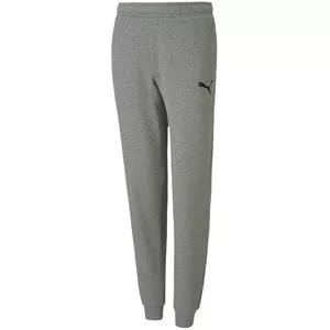 Sporta bikses Puma teamGOAL 23 Casuals Pants Jr Grey 656713 33