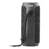 Стерео портативная колонка Streetz S250-BLK Photo 6