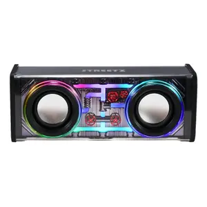 Stereo portable speaker Streetz S310-BLK 10 W
