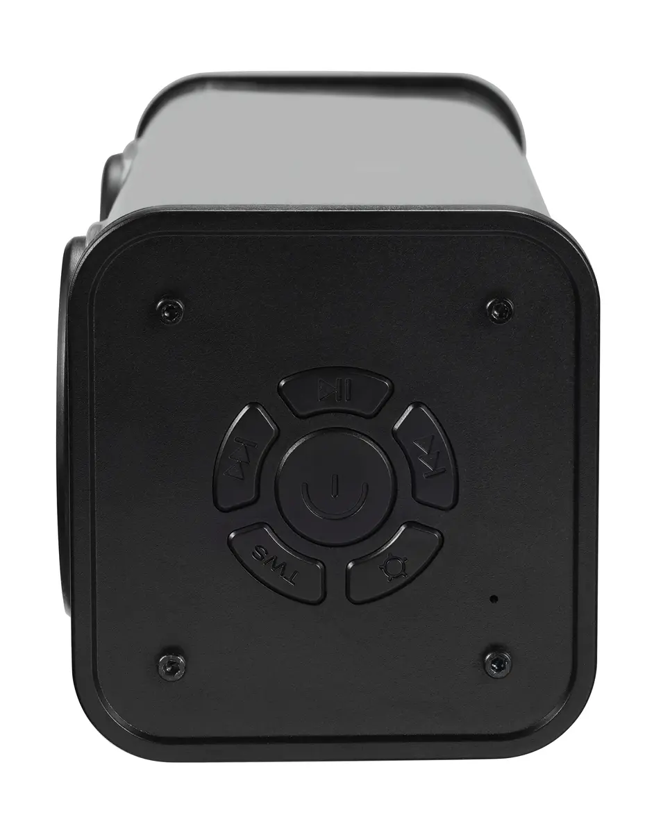 Стерео портативная колонка Streetz S310-BLK Photo 4