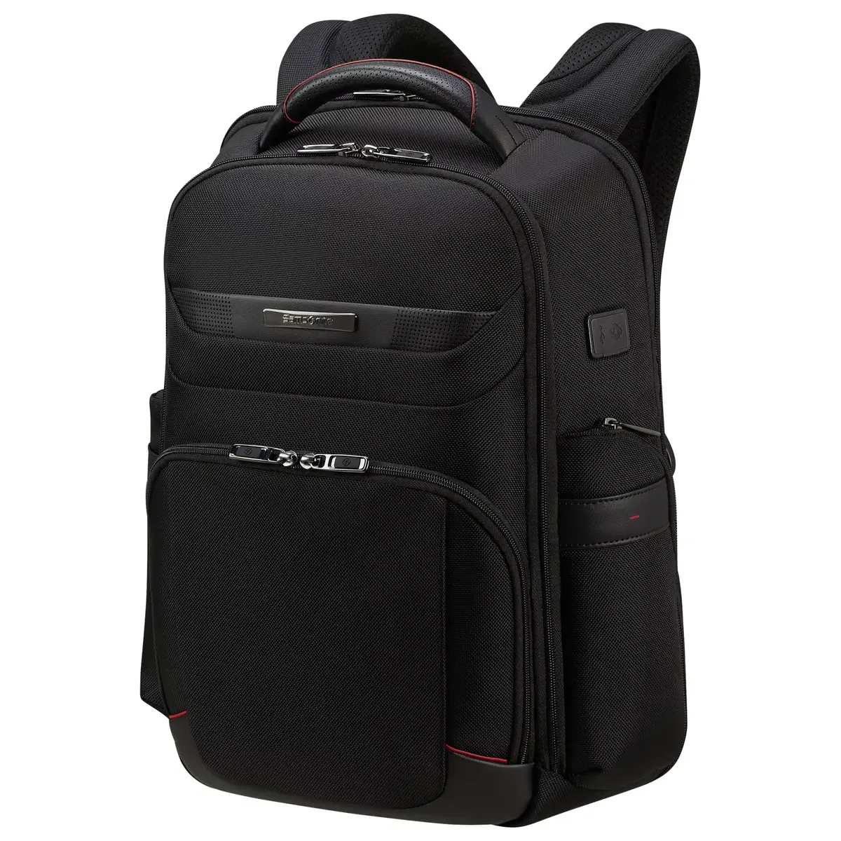 Городской рюкзак Samsonite Pro-DLX 6 Photo 3