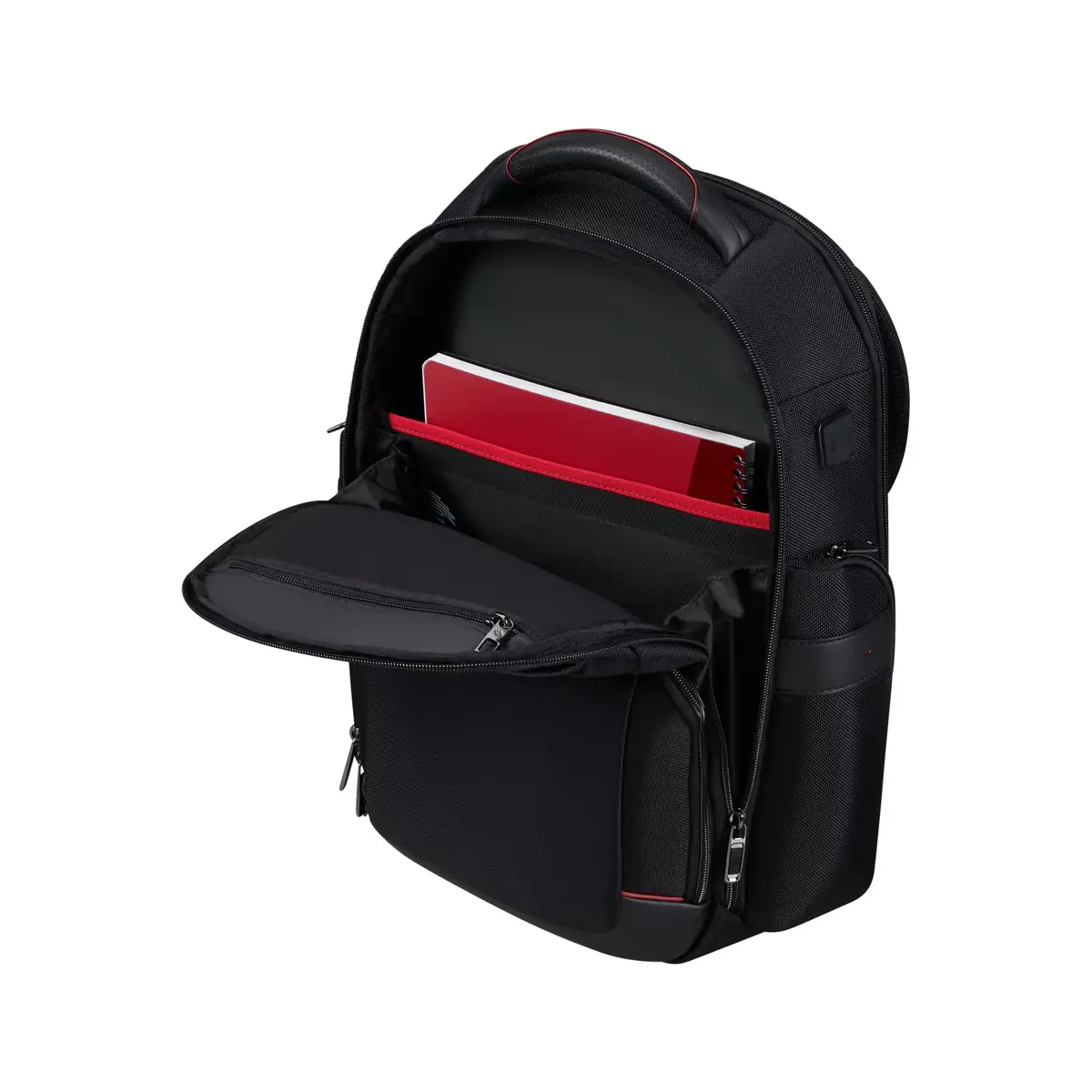 Городской рюкзак Samsonite Pro-DLX 6 Photo 4