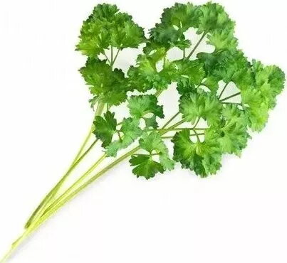 Papildpakojums audzēšanai Veritable Pētersīļi (ēdamie augi)