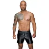 Шорты Noir 21335201721 — чёрный powerwetlook L Photo 3