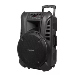 Active Speaker Cabinet LEC-KM1715 60 Watt