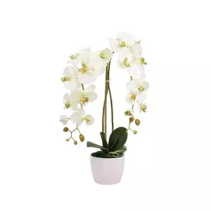 Emivela Artificial Orchid in a Pot