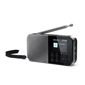 Personal Radio Sharp DR-P520 Digital Tuner DAB DAB+ FM