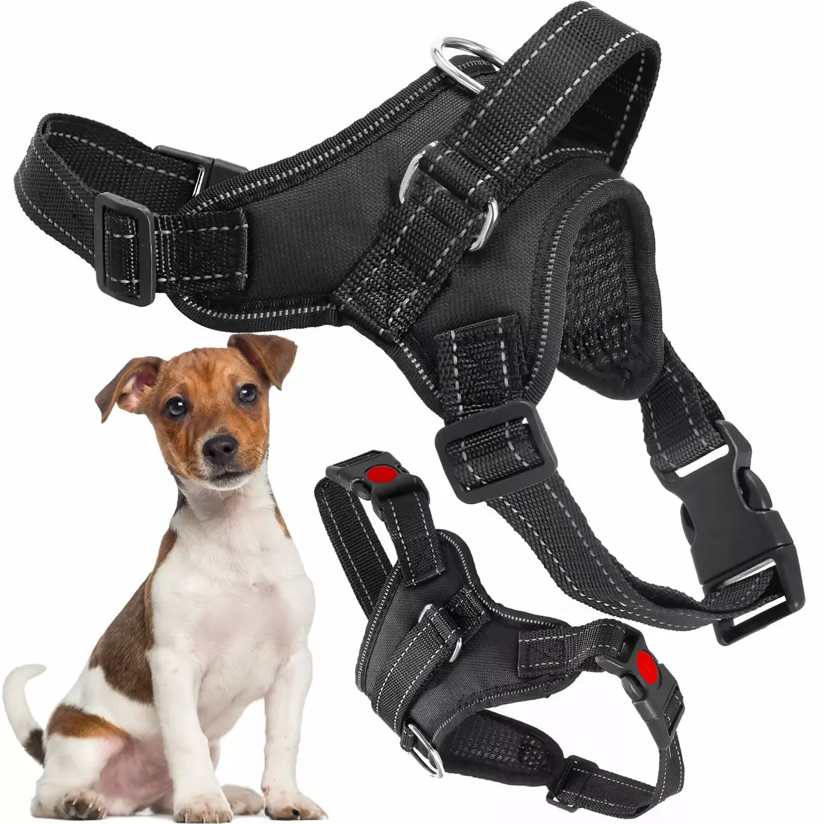 Dog harness Springos PA0305 adjustable L Photo 3