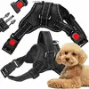 Dog harness Springos PA0305 adjustable L Photo 4
