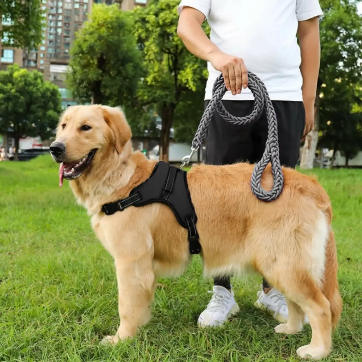 Dog harness Springos PA0305 adjustable L Photo 5