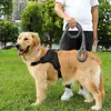 Dog harness Springos PA0305 adjustable L Photo 5
