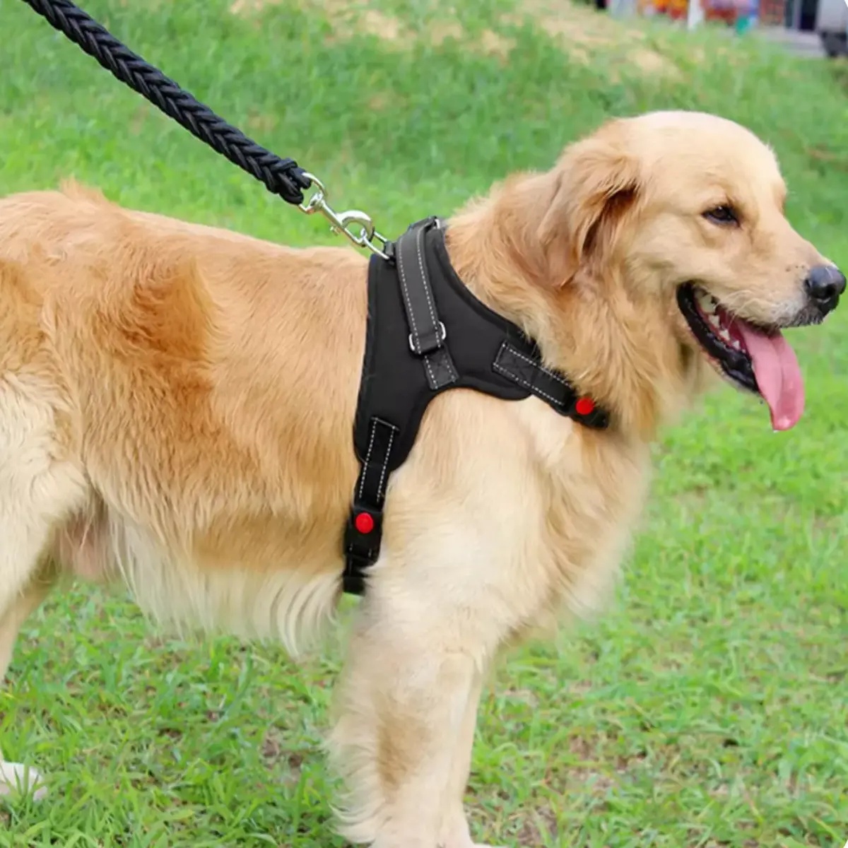 Dog harness Springos PA0305 adjustable L Photo 6