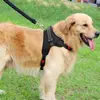 Dog harness Springos PA0305 adjustable L Photo 6