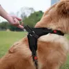 Dog harness Springos PA0305 adjustable L Photo 7