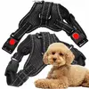 Dog harness Springos PA0305 adjustable L Photo 10