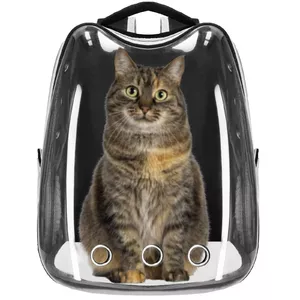 Pet carrier backpack Springos PA0229 for pets up to 12 kg, 40×34×21 cm, gray with transparent window