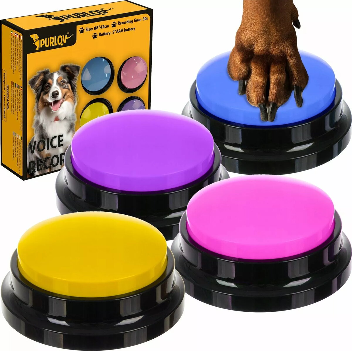 Pet Toys