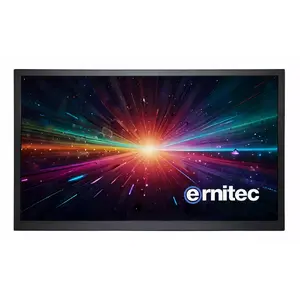 Монитор Ernitec 0070-24265-WVSWIM 24" ЖК-экран 1920x1080
