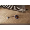 Пылесос 2-в-1 Shark Cordless Vacuum Photo 24