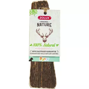 Chew Toy ZOLUX DEER ANTLER PUPPY — natural deer antler, small size