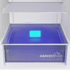 Холодильник Beko B5RCNA405HG | 355 л, отдельно стоящий Photo 3