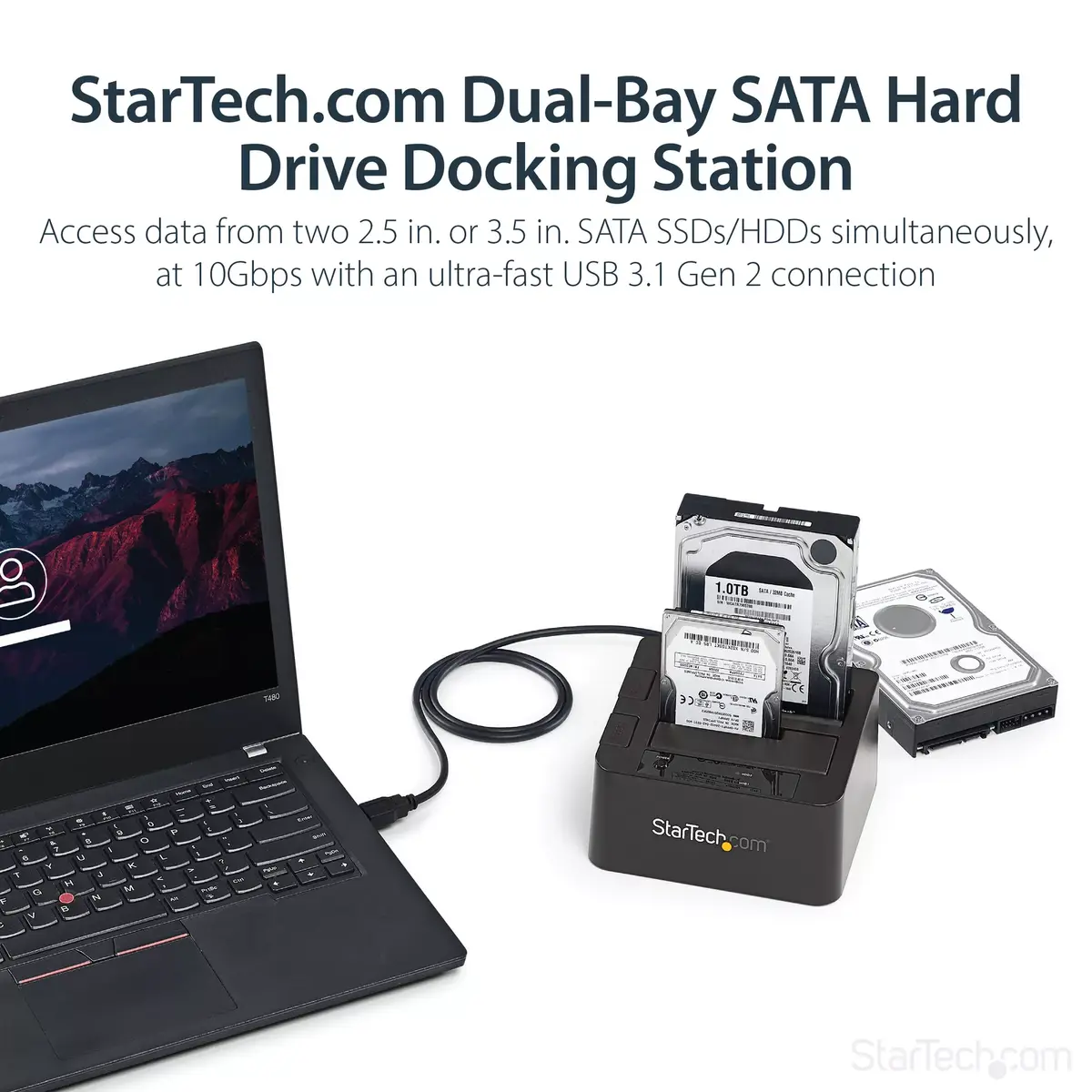 Hard Drive Docking Station StarTech.com 2.5/3.5" SDOCK2U313 Photo 8