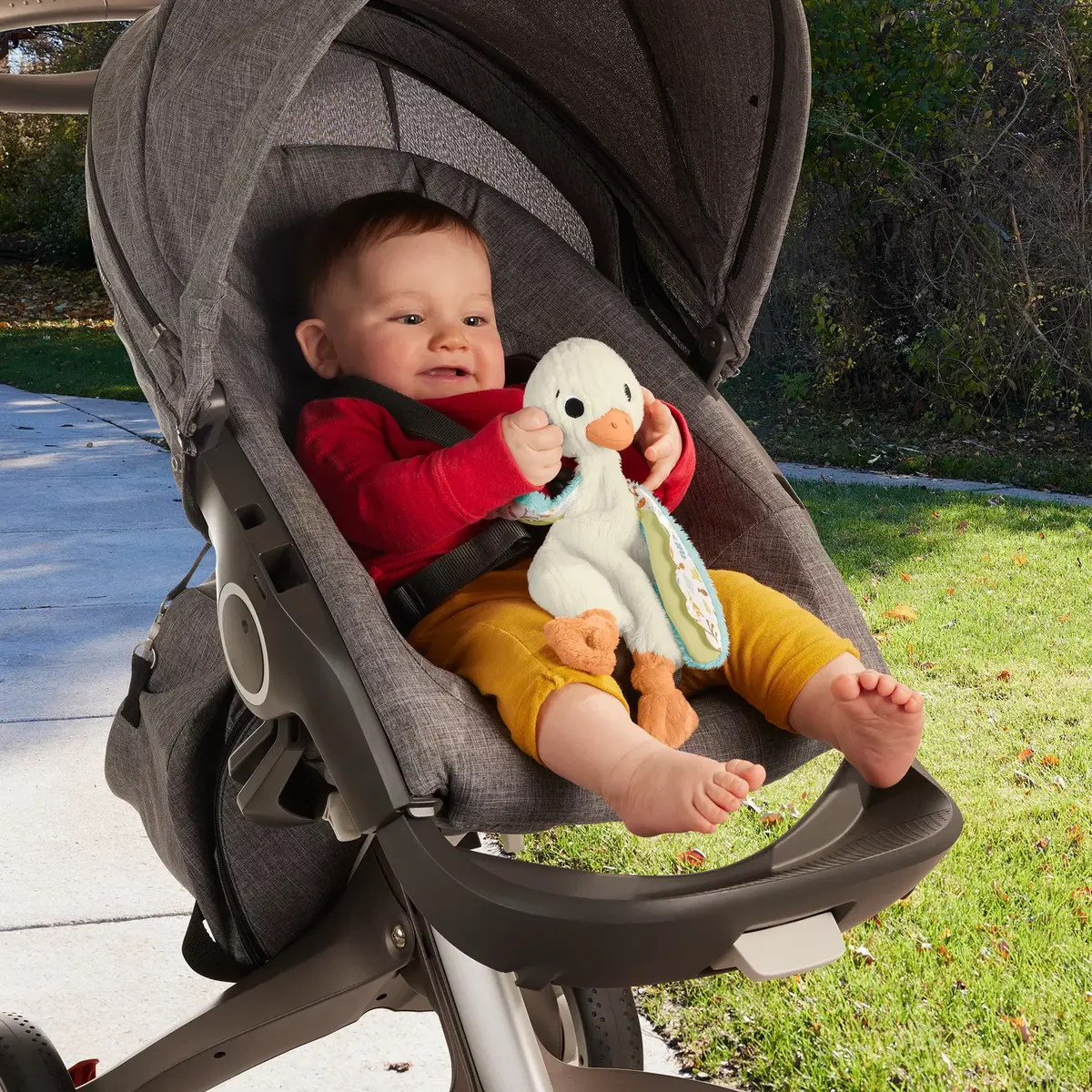 Rotaļlieta gailis Fisher-Price Snuggle Up Goose Photo 4